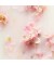 Подарочный набор The Ritual of Sakura Medium  Gift Set 2025  "Rituals"