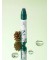 Ампула для кожи головы с экстрактами сосны и центеллы Pine Calming Cica Scalp Ampoule 15 мл  "Round Lab"