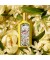 Парфюмерная вода Flora Gorgeous Orchid Eau de Parfum "Gucci"