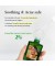 Антиоксидантная сыворотка с облепихой для проблемной кожи Dr. Althea Gentle Vitamin C Serum 30 мл  " Dr. Althea"