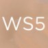 WS5