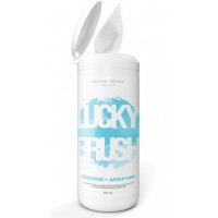 Антибактериальные салфетки LUCKY BRUSH для очищения кистей BRUSH CLEANSER WIPES MAXI SIZE 100шт "MISCHA VIDYAEV"