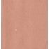 03 salmon
