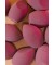 MELLOW Sponge "PNFL"
