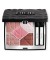 Тени для век Limited 5 Couleurs Лимитированные пятицветные тени для век 857 Rose Organza Dior