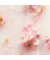 Подарочный набор Rituals The Ritual of Sakura Small  "Rituals"